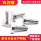 厂家供应304不锈钢T型螺栓 T型高强度螺栓 T型特种螺栓非标螺栓